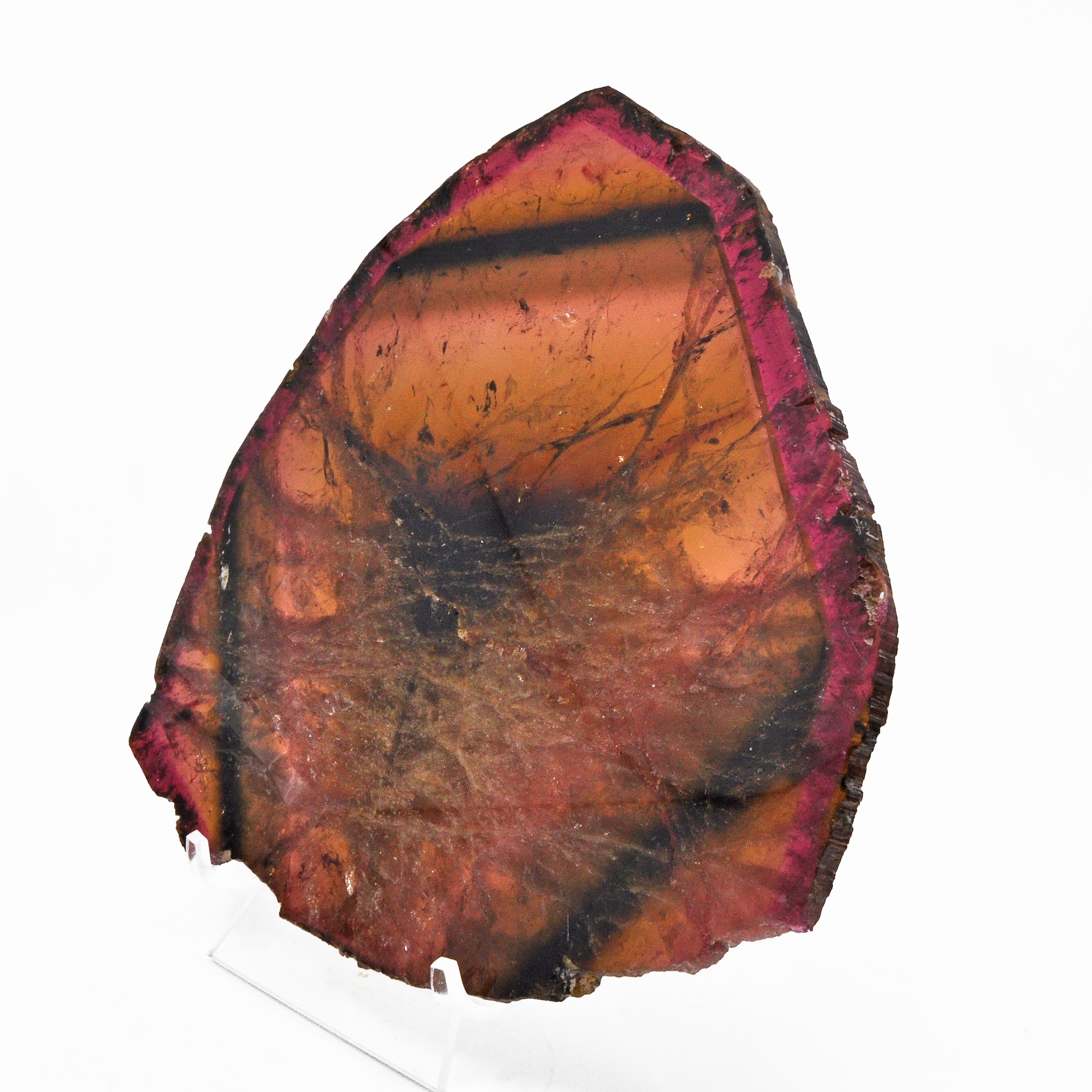 Huge- Pink and Yellow Tourmaline 8.1 inch 501.4 grams Liddicoat Natural Crystal Slice - Mozambique - GGH-020 - Crystalarium