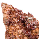 Vanadinite 12.9 Inch 13.5lb Natural Crystals on Matrix - Morocco - PX-126 - Crystalarium