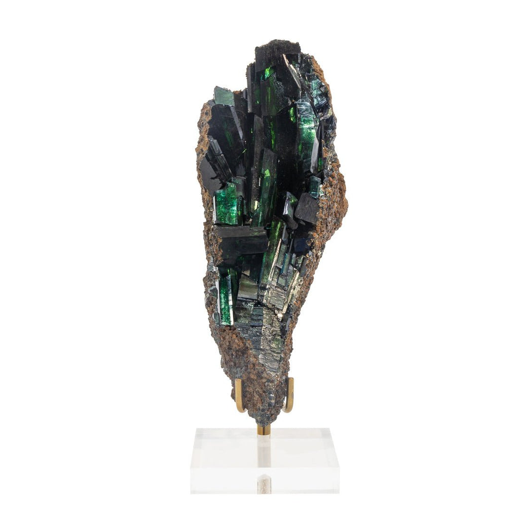 Vivianite 6.6 Inch 1.23lb Natural Crystal "Spray" - Brazil - LLX-029 - Crystalarium