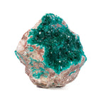 Dioptase 5.1 inch 2.11lb Natural gem Crystal Specimen - Tsumeb - XX-365 - Crystalarium